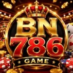 BN786 Game