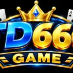 TD666 Game